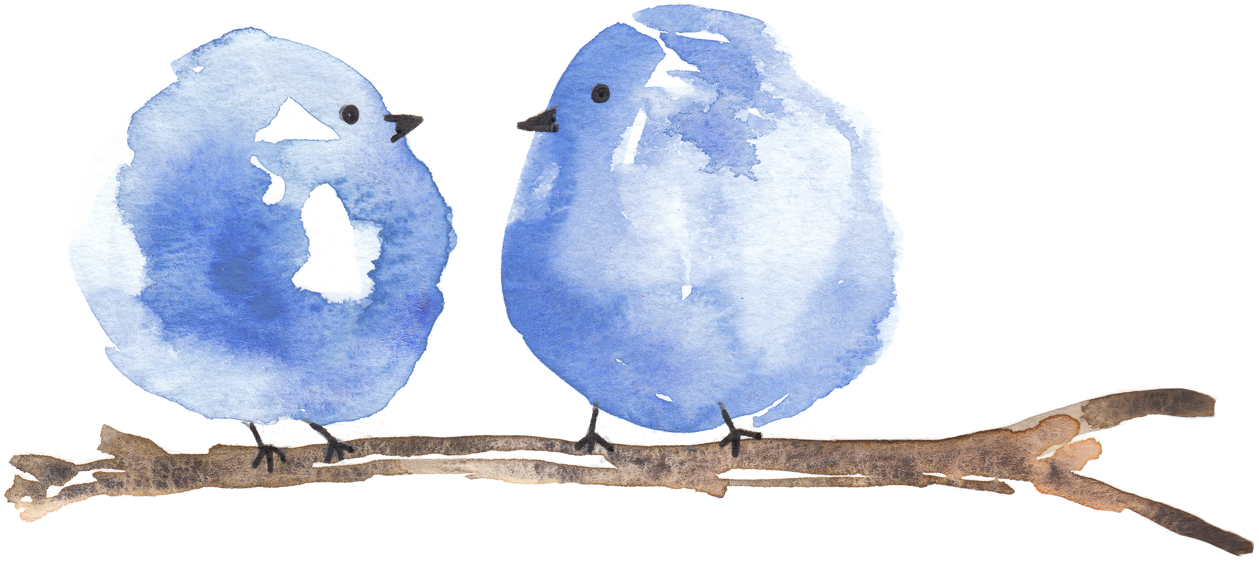 Two Blue Birds Original Art Print — Maria DeVito Palmer Designs